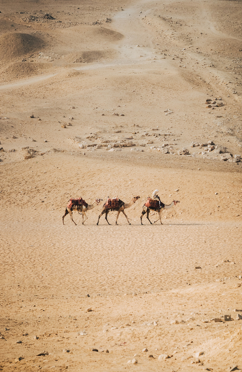 一群骑着骆驼穿越沙漠的人