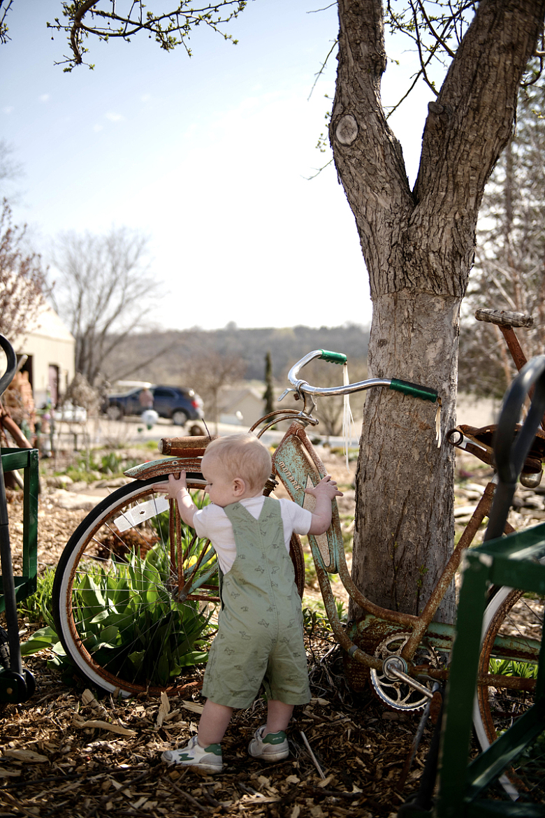 一个小男孩站在自行车旁的一棵树旁