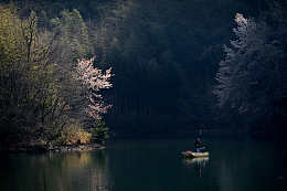水塘景观