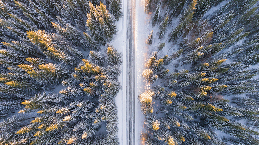 俯视森林雪景