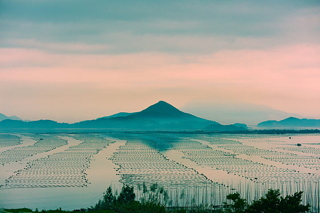 滩涂日落风景