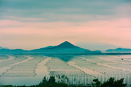 滩涂日落风景