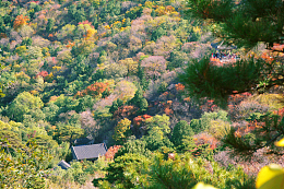 北京香山公园