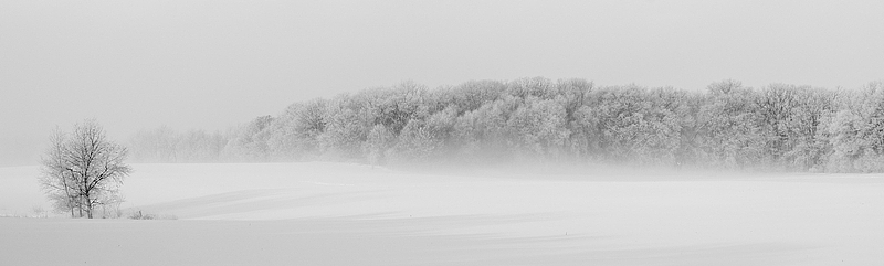 冬季森林雪景图