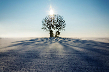 冬季雪景