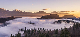 森林自然风景