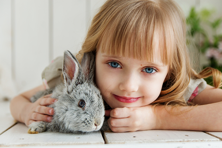 抱兔子的小女孩