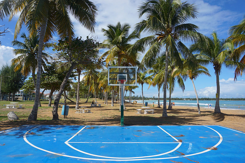 棕榈树附近有白色和蓝色的篮球圈