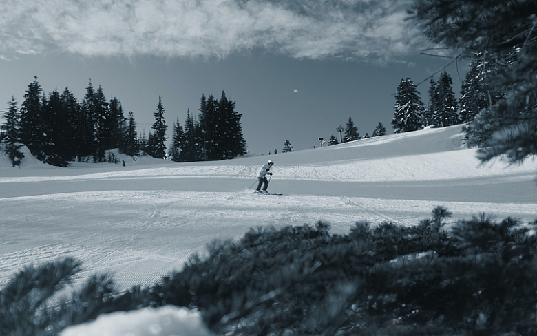 穿着黑色夹克和裤子的人在蓝色下的绿树旁的雪地上滑雪