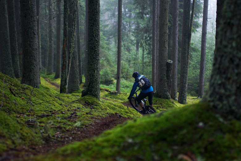 山地自行车森林男人
