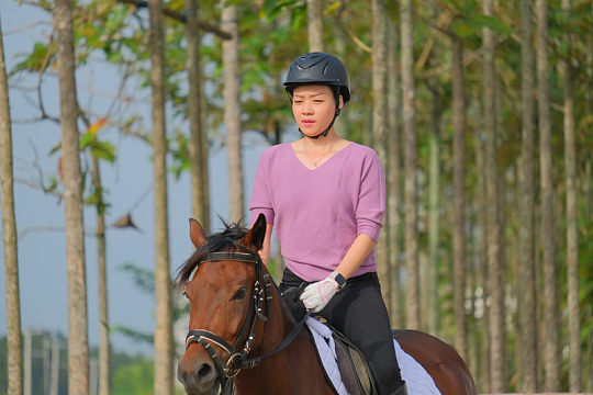 身穿粉色圆领t恤的女子白天骑在棕色马上