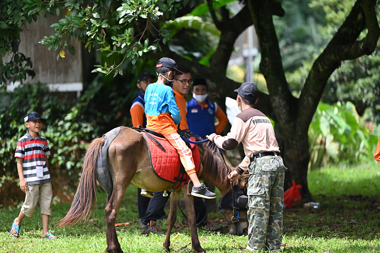一群人站在一匹棕色的马周围