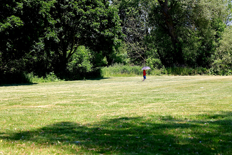 穿着红色衬衫的人在绿草地上行走