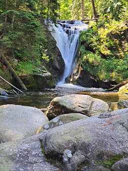 森林树木峡谷小瀑布流
