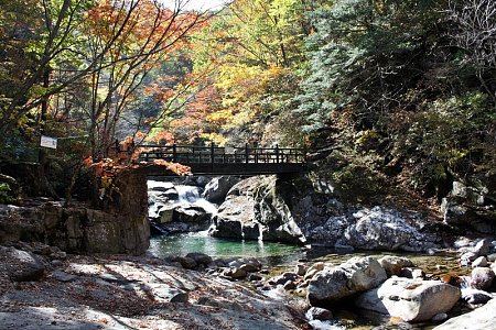 秋天森林公园山涧溪流
