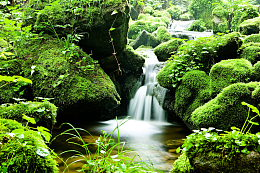 绿色自然山水