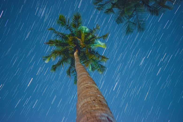 椰子树和流星雨