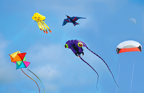 风筝节放飞风筝