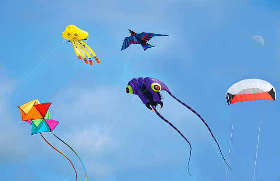 风筝节放飞风筝