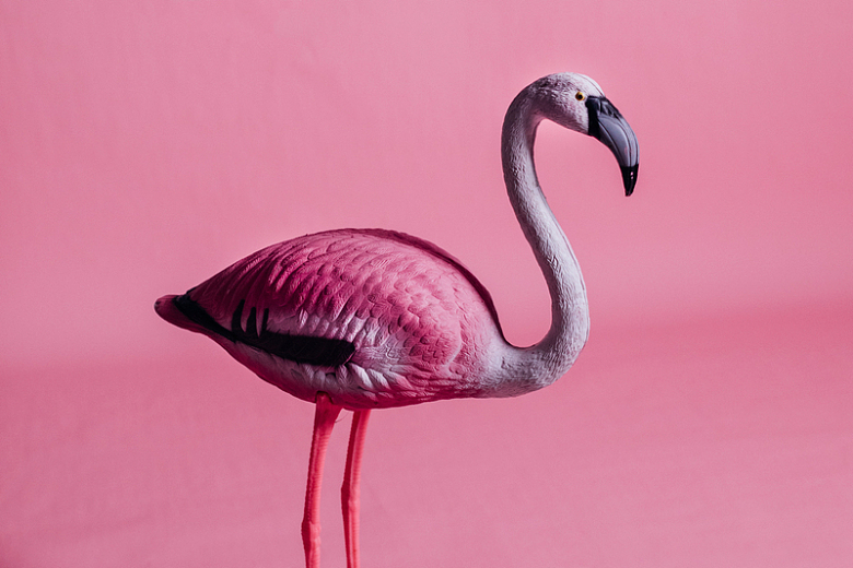 粉红色火烈鸟雕塑
