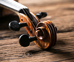 小提琴局部