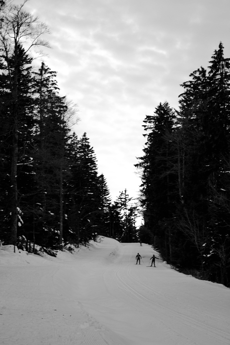 滑雪板积雪斜坡运动