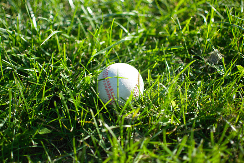 草地绿色棒球阳光摄影