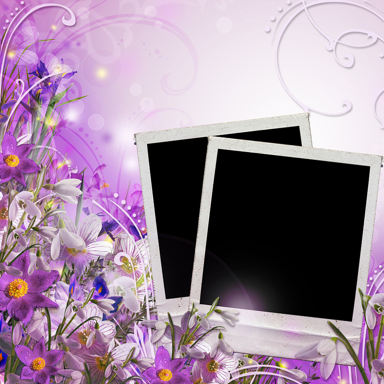 紫色花卉镶边黑色相框