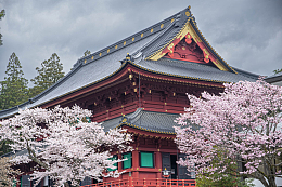 日本樱花日式风格建筑摄影