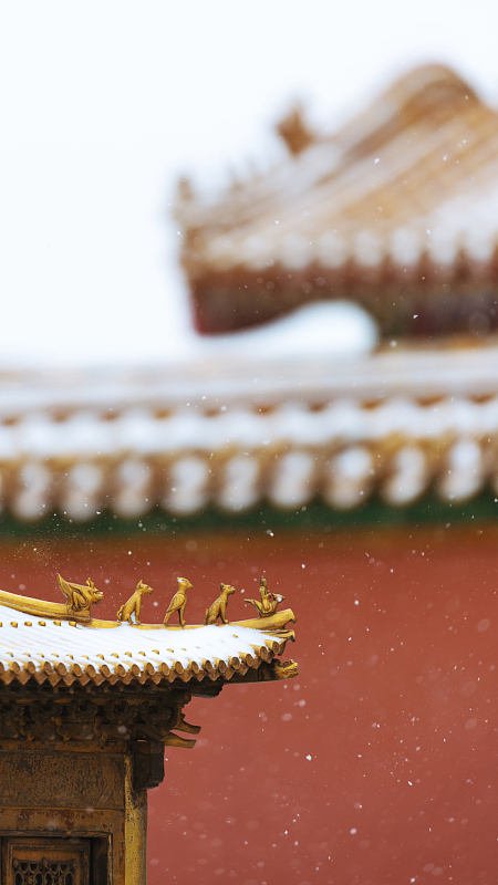 冬季紫禁城雪景建筑摄影