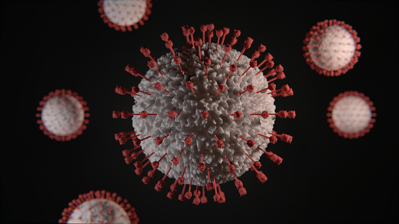 新型冠状病毒结构