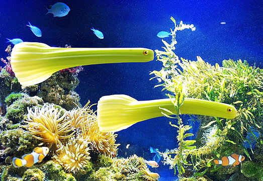 另类水族馆