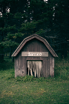 木制狗屋