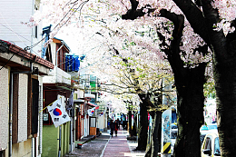 韩国街景