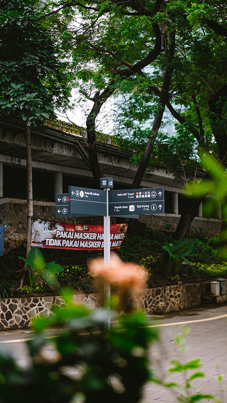 建筑物,道路,指路标,城市,树木