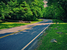 森林蜿蜒公路