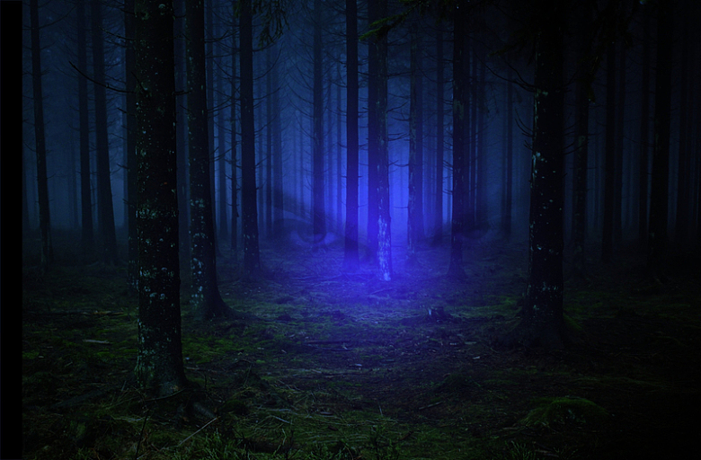 午夜森林蓝色极光摄影