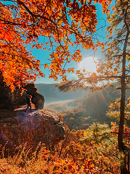秋天的大自然风景