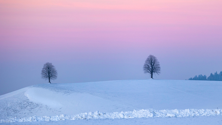 冬季紫色黄昏浪漫风景