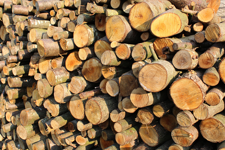 树木砍伐木材堆