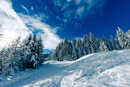 寒冬森林雪山景观