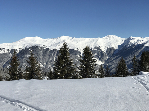 阿尔卑斯冬天雪山