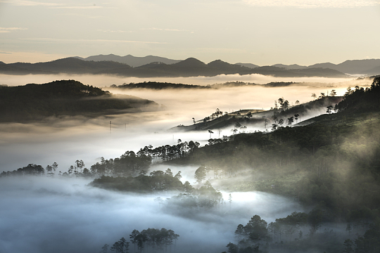 清晨梦幻云雾风景