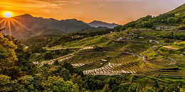 落日下的梯田景观