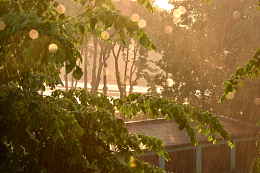早上下雨的