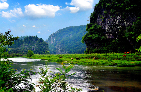 高清湖边风景