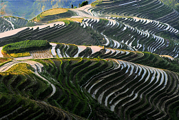 梯田风景素材