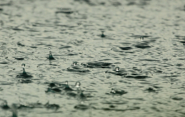 下雨天雨水
