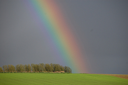 彩虹青草地