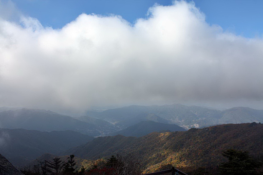 荒野山岭
